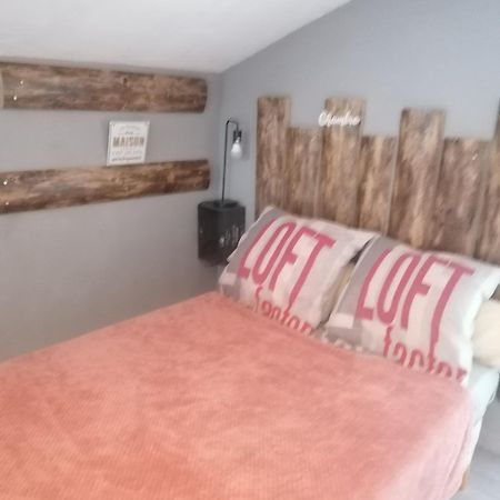 Chambre 23M2 Avec Jardin Wi-Fi Gratuit Saint-Girons Apartman Kültér fotó