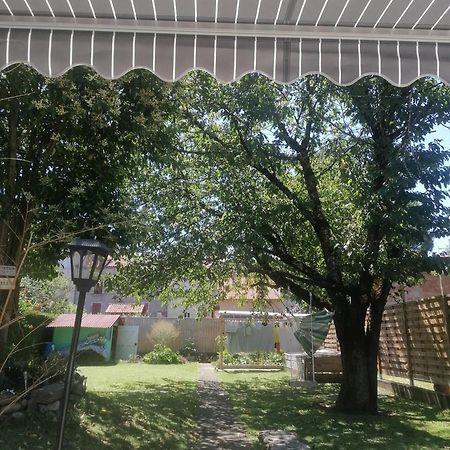 Chambre 23M2 Avec Jardin Wi-Fi Gratuit Saint-Girons Apartman Kültér fotó