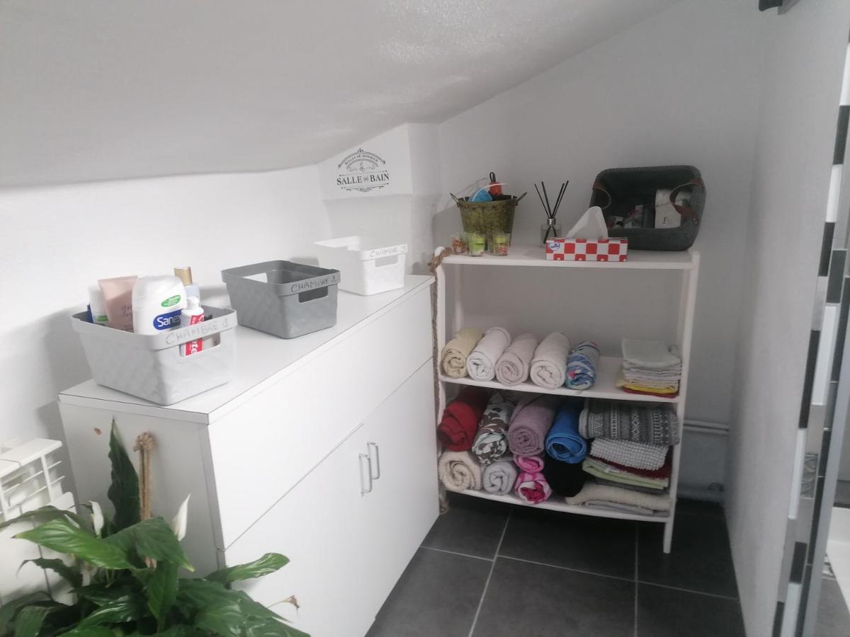Chambre 23M2 Avec Jardin Wi-Fi Gratuit Saint-Girons Apartman Kültér fotó