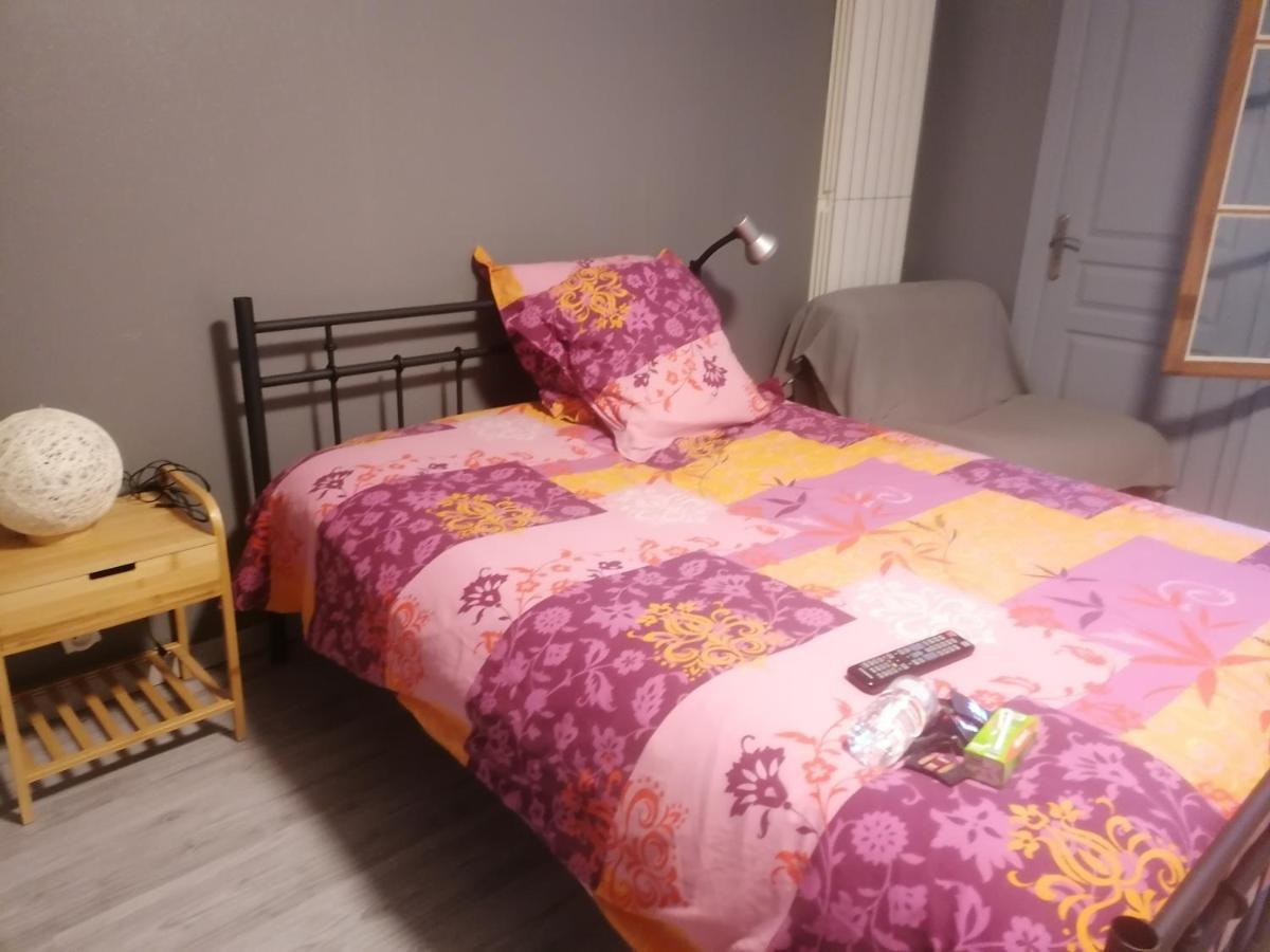 Chambre 23M2 Avec Jardin Wi-Fi Gratuit Saint-Girons Apartman Kültér fotó